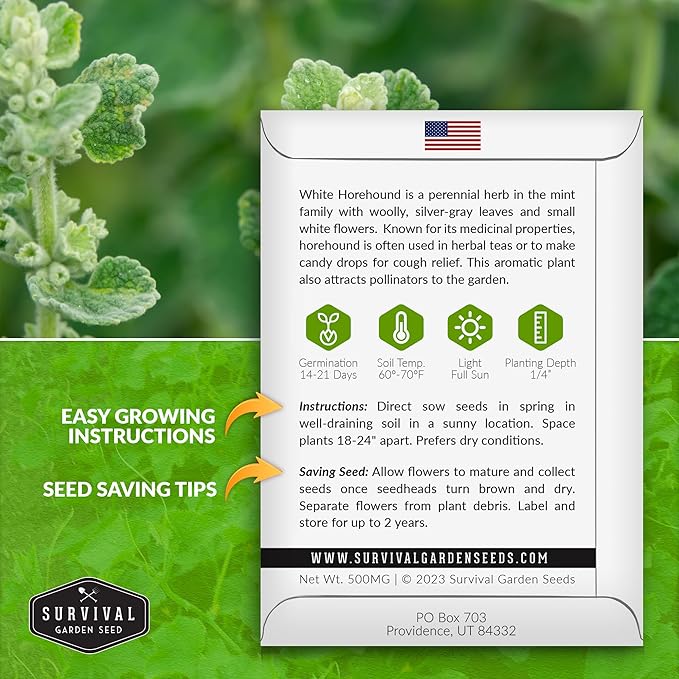 Survival Garden Seeds - Horehound Seeds for Planting - 1 Packet with Instructions to Plant and Grow Beneficial Marrubium Medicinal Herbs in Your Home Vegetable Garden - Non-GMO Heirloom Variety