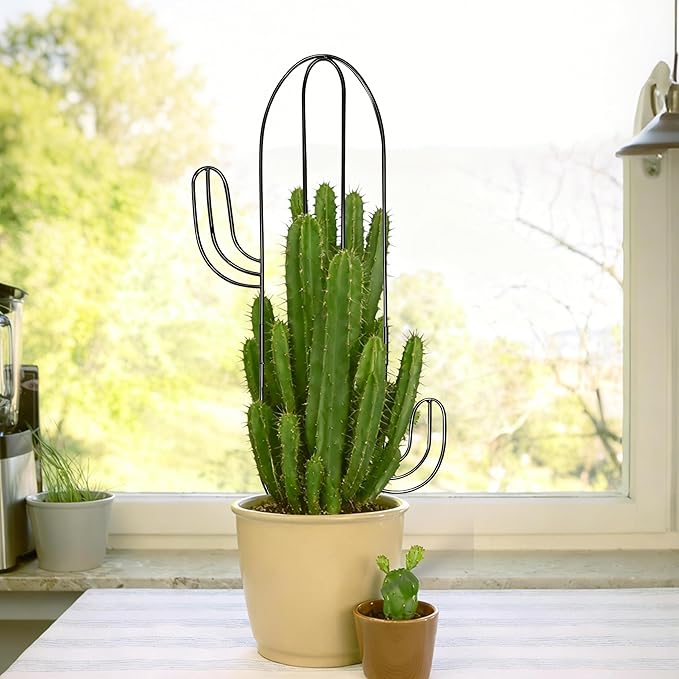 Plant Trellis for Climbing Plants Indoor, Cactus Trellis for Potted Plants, Pothos Hoya Monstera Metal Houseplant Climbing Support for Garden Balcony, 2P