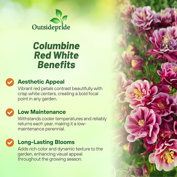 Outsidepride Red White Columbine Seeds - 20 Pcs Perennial, Easy to Grow Flower Seeds for Planting, Suitable for Pollinator-Friendly Garden, Cut Floral Arrangements, Ground Covers, or Borders