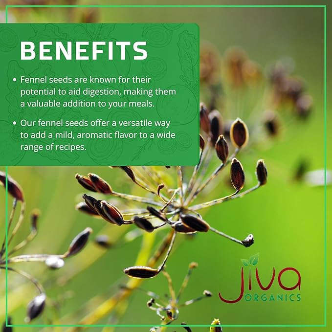 Jiva Organic Fennel Seeds 7 Oz Bag - Non-GMO, Certified, Vegan - Resealable Bag - Product of India