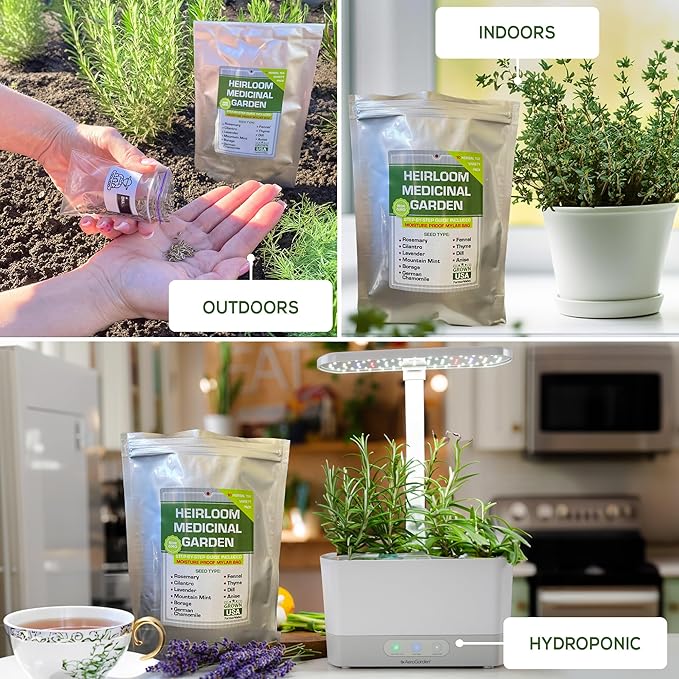 10 Medicinal Herb Seeds - Heirloom, Non GMO, USA Made - 2050 Most Needed Herbal and Medical Tea Seeds Pack for Planting Indoors and Outdoors - Lavender, Mountain Mint, Chamomile & More
