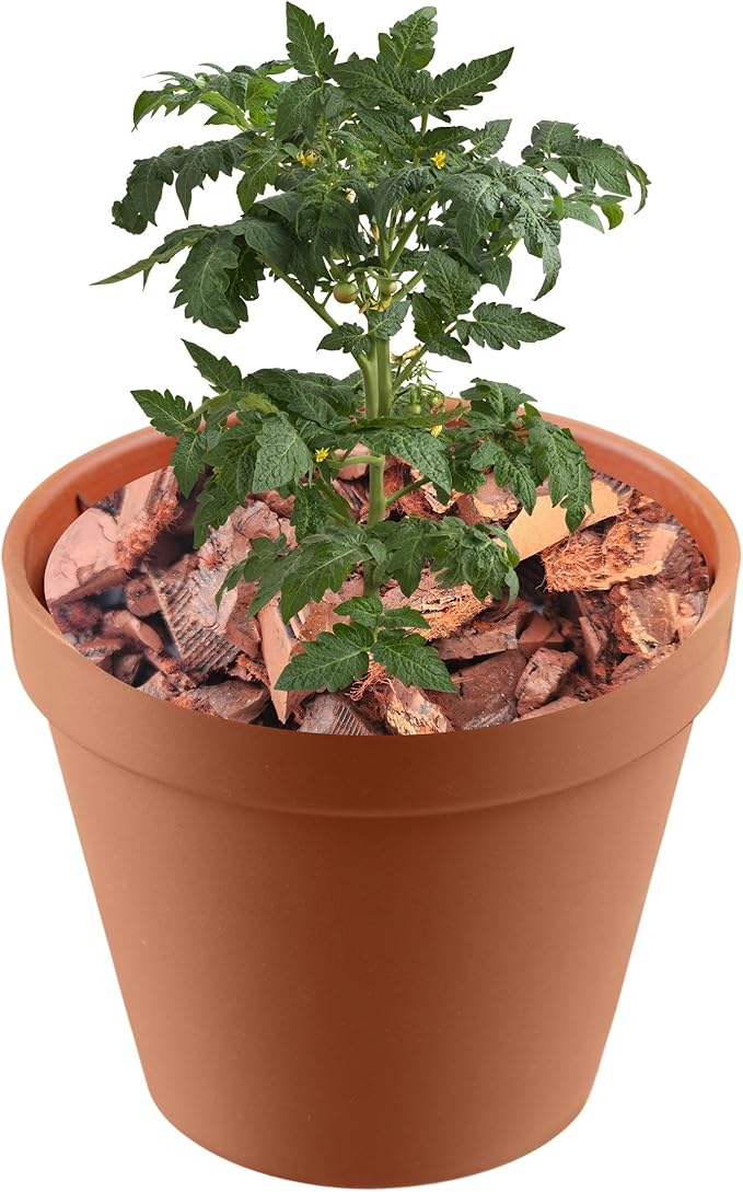 Red Rubber Mulch for Landscaping - Durable and Eco-Friendly Garden Mulch - Perfect for Garden, Potted Plants & Outdoor Decor - 2 Quarts