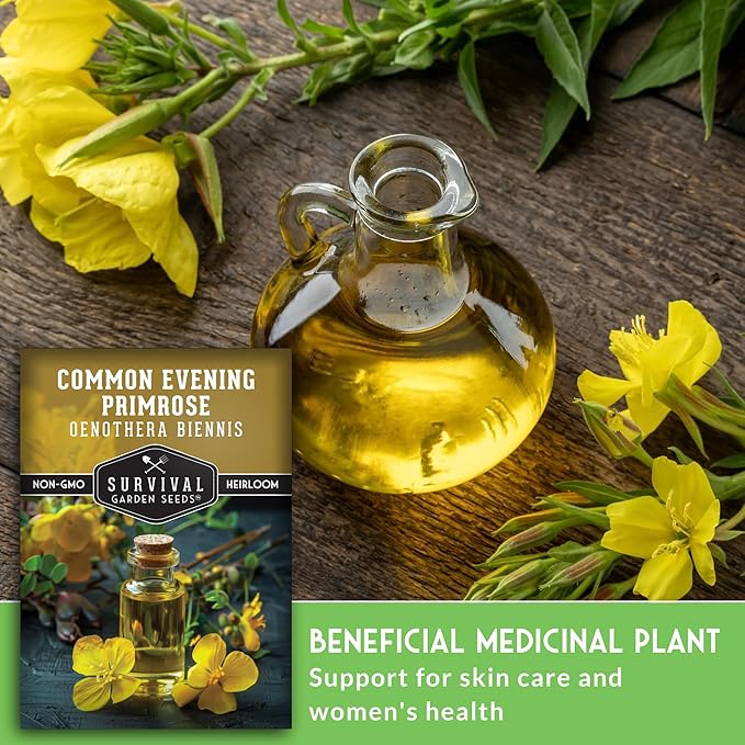 Common Evening Primrose Seeds for Planting - Biennial Native Wildflower, Night-Blooming with Yellow Flowers - Oenothera biennis - Non-GMO Heirloom - Survival Garden Seeds (1 Pack)