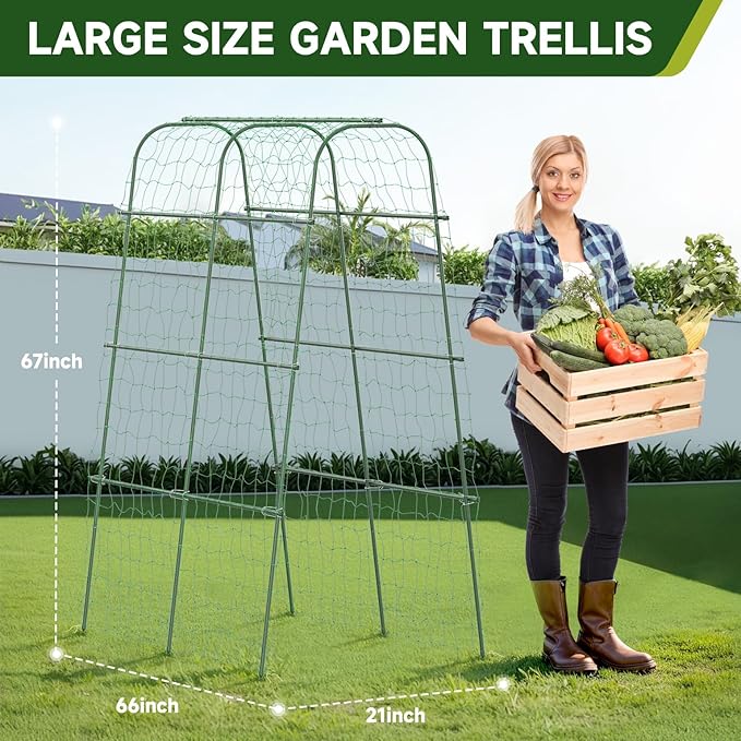 HIRALIY Cucumber Trellis for Climbing Plants Outdoor, 5.6ft Tall Heavy Duty Metal Garden Arch Trellis, Rustproof Plant Support Tunnel for Tomato, Grape, Bean, Raised Bed and Vegetable Gardens, Green