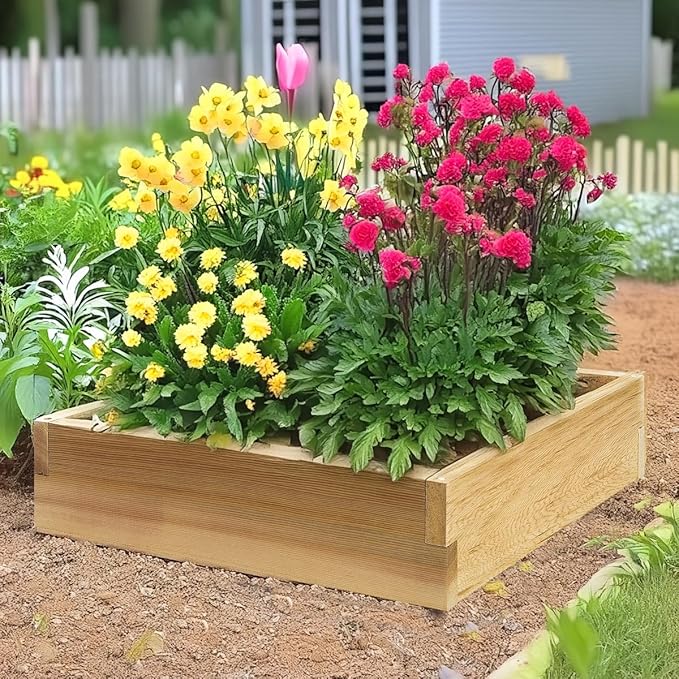 All Things Cedar RG24 2-ft Cedar Raised Garden Box, Transform Your Urban Gardening Needs, untreated Western Red Cedar, for Planting Outdoor Plants, Vegetables, Fast, Easy Assembly