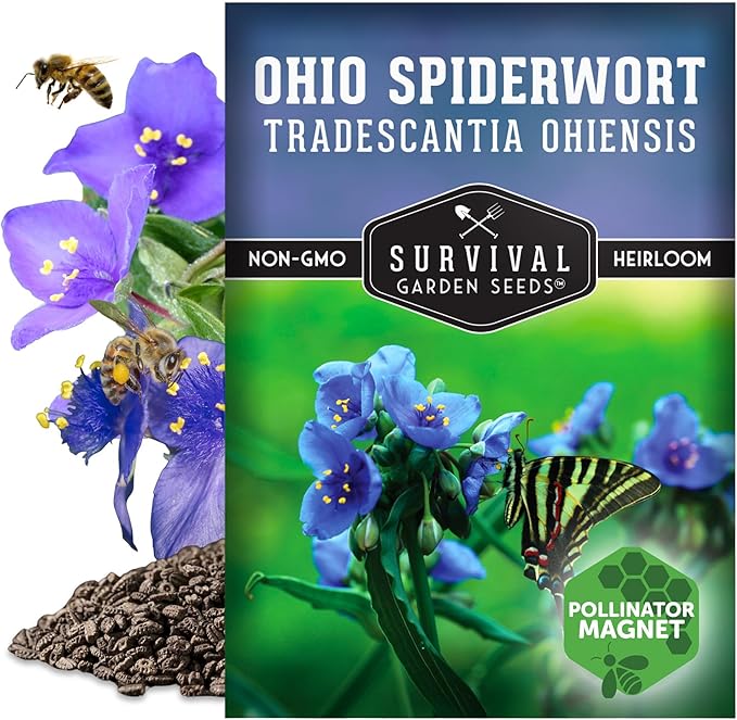 Survival Garden Seeds - Ohio Spiderwort (Tradescantia ohiensis) | Blue Three-Petaled Blooms | Shade Tolerant Native Plant | North American Wildflower - 1 Pack