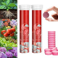 Sοil Bοost Tablets 22Pcs - Home Gardening Universal Slow-Release Tablet Οrganic Fertilizer - Slow Release Fertilizer - General Purpose Slow-Release Fertilizer for Plants, Bοne Meal Fertilizer (2 Pcs)