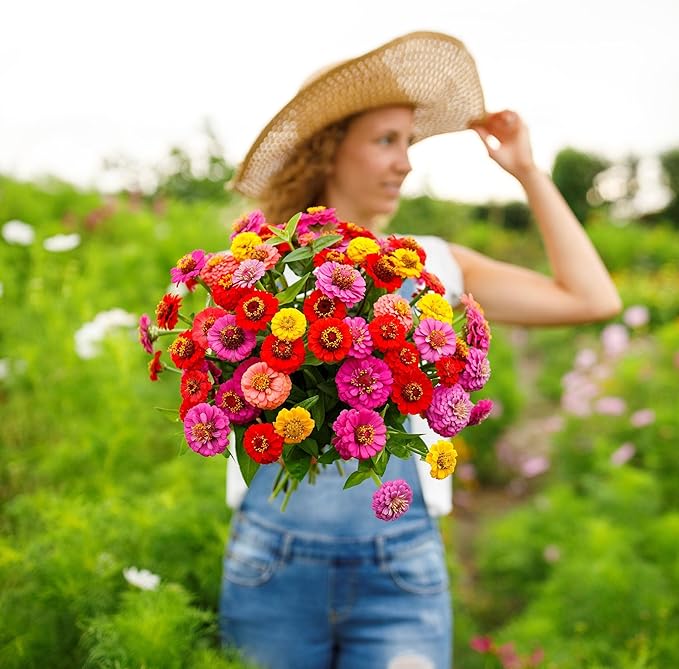 Eden Brothers Zinnia Seeds - Lilliput Mix, Non-GMO Seeds for Planting, 1 lb | Low-Maintenance Flower Seeds, Plant During Spring, Zones 3, 4, 5, 6, 7, 8, 9, 10