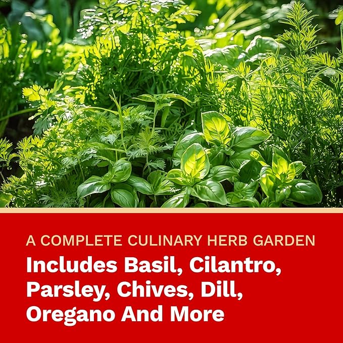 The Harvest Company Organic Culinary Garden Seed Collection, Non-GMO, Certified USDA Organic, Open-Pollinated Garden Herb Seeds for Indoor Outdoor Planting, 145 Seeds Total