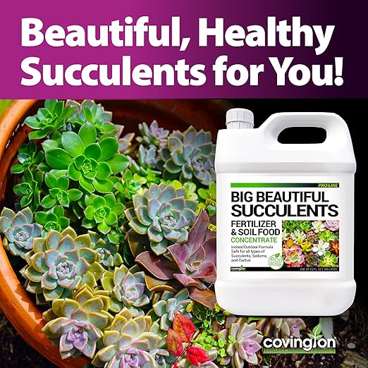 Covington Succulent Fertilizer Liquid (1 Gallon) – Cactus & Succulent Plant Food for Indoor and Outdoor Use – Slow Release Liquid Fertilizer for Houseplants – Made in USA