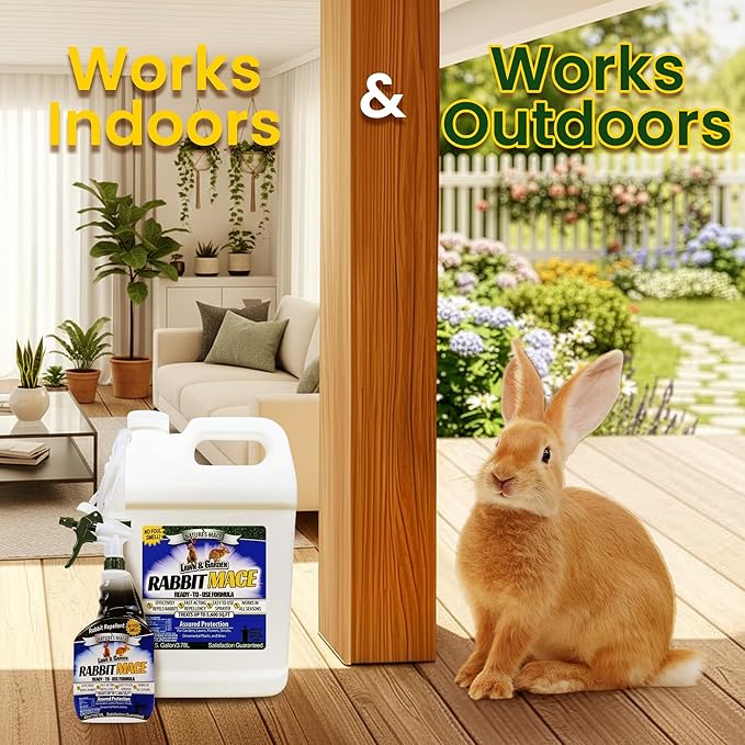 Nature’s Mace Rabbit MACE, Rabbit Deterrent for Yard, Rabbit Repellent Outdoor, Mint Scent Rabbit Spray, Garden, Lawn, Keep Rabbits Out, 1 Gallon Ready to Use, Safe Around People, Pets, Plants