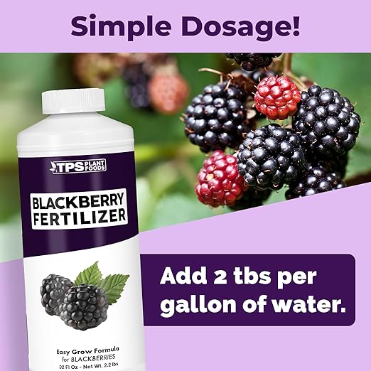 BlackBerry Fertilizer for BlackBerry Plants, Supports Healthy Growth and Plump Berries in BlackBerry Plants, Liquid Fertilizer by TPS Plant Foods, 32 oz (1 Quart)