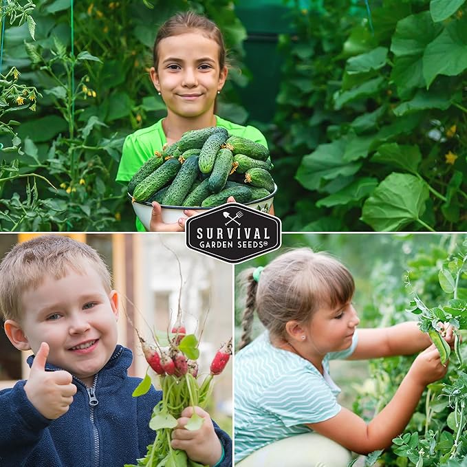 Survival Garden Seeds Kids' Easy Garden Collection - Cucumber, Radish, Beans, Peas, Lettuce, Basil Non-GMO Open Pollinated Seeds for Growing on The Homestead or in The Vegetable Garden