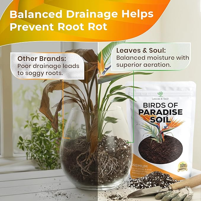 Professional Bird of Paradise Soil Potting Mix 2.2 Quarts Ready to Use, Premium Indoor Plant Soil for Birds of Paradise Plants, Peat Moss Coco Coir Perlite Dolomite, Made in USA