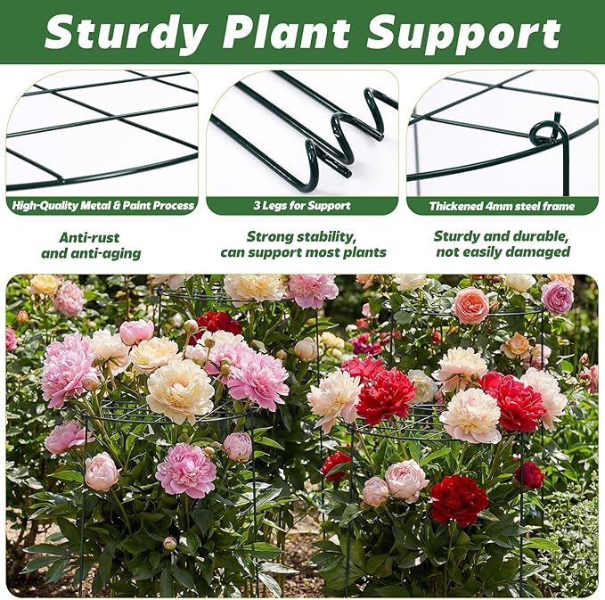 4 Pack Round Peony Cages and Supports 20 x 30 Inches (D x H) Grow Through Grid Plant Brace Plant Support Stake Heavy Duty Metal Flower Support Rings for Rose Tomato Hydrangea Strawberry