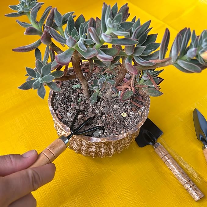 Mini Gardening Tools Set for Kids – 3 Pieces Garden Hand Tool Kit with Shovel, Trowel and Rake for Succulents, Potted Plants, Indoor & Outdoor Gardening