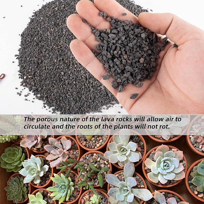 3lb Black Lava Rock for Plant, 1/8-1/4 inch Horticultural Volcanic Rock Soil for Decorative Landscaping Bonsai, Cacti, Succulents Plants Top Dressing for Release Excess Water
