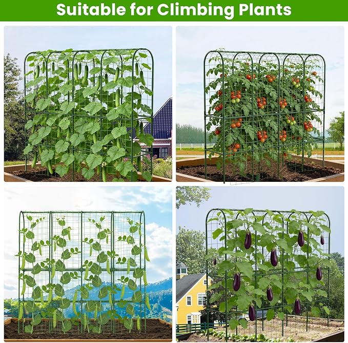 62in Tall Cucumber Trellis for Raised Bed, 68" L x 62" H Metal Garden Trellis for Climbing Plants Outdoor, U-Shape Vegetables Trellis Support for Squash Zucchini Peas Grape