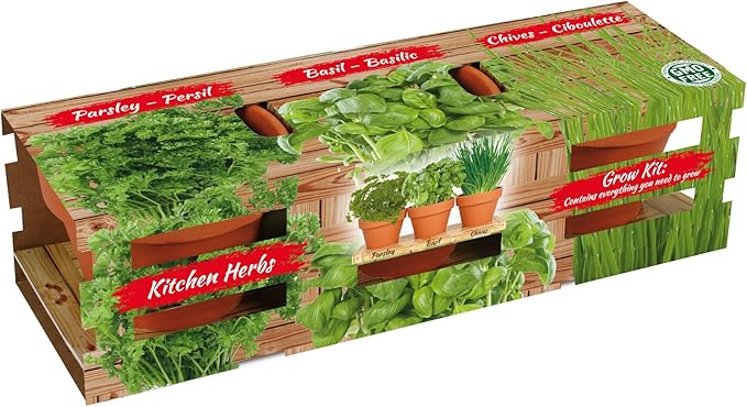 TotalGreen Holland | Herb Trio Grow Kit | Grow Basil Plant, Parsley and Chives this Summer | Grow a Herb Garden From Seed in Terra Cotta Pots | Non-GMO Live Plants