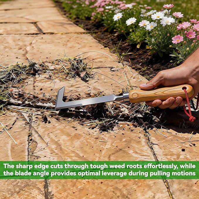 2 Pack Crack Weeder Tool with Bonus Stainless Steel Root Hook, Heavy Duty Crevice Weeding Tool for Sidewalk, Patio & Driveway, Manual Weed Puller for Removing Grass, Moss & Weeds from Cracks