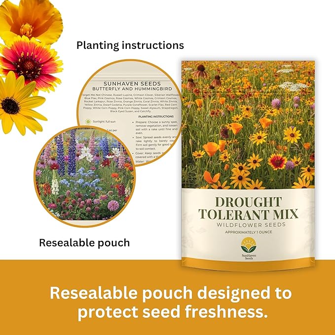 Drought Tolerant Wildflower Mix – 20,000+ Seeds – 1 oz Bulk Extra Large Resealable Packet – Non-GMO Flower Seeds for Dry Climates – Black-Eyed Susan, Coreopsis, California Poppy & More