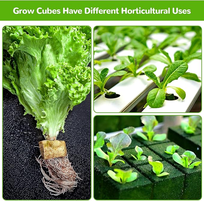 1" Rockwool Cubes for Hydroponics - 2 Sheets Garden Stonewool Grow Cubes Ideal for Clone Plant, Starting Seed, Cuttings Propagation, Total 140 Rapid Rooter Plugs and 2 Seedling Starter Trays