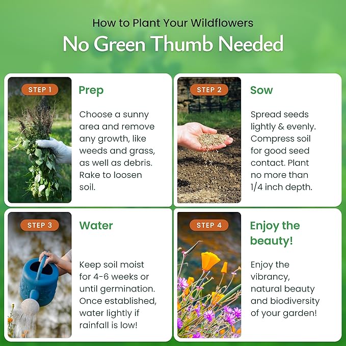 Created By Nature Missouri Wildflower Seed Mix, 16 Flower Varieties, 40,000 Seeds