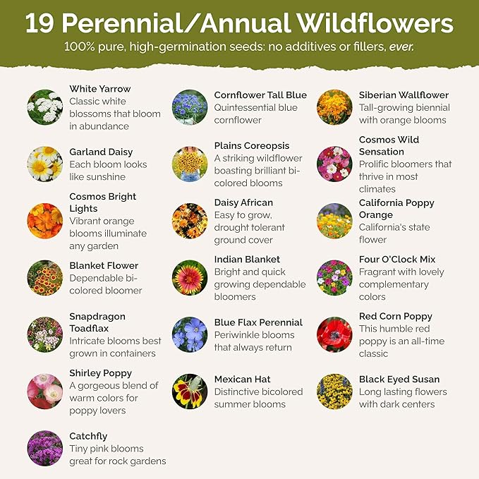 Eden Brothers Dry Area Wildflower Mixed Seeds for Planting, 1/4 lb, 120,000+ Seeds with Cosmos, African Daisy, Blue Flax | Attracts Pollinators, Plant in Spring or Fall, Zones 3, 4, 5, 6, 7, 8, 9, 10