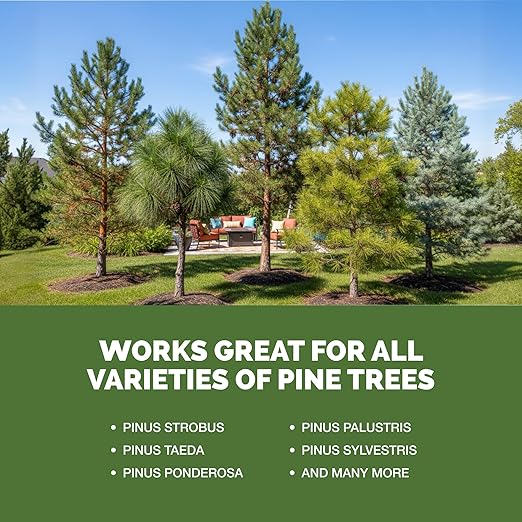 Pine Tree Fertilizer - for Leyland Cypress & Evergreen Tree Care - Pushes Rapid Root Growth for Strong, Wind-Resistant Yard Trees - Liquid Plant Food, 1 Gallon