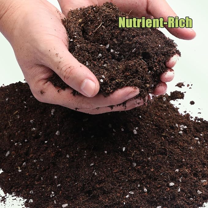 Organic Avocado Tree Potting Soil Mix 1qt, Enhance Growth and Transplant Success for Avocado Plants
