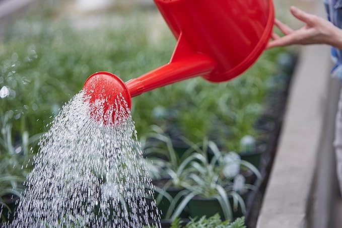 Consolidated Plastics Durable Swiss Watering Can with UV Protection, Ergonomic Handle for Indoor/Outdoor Gardening, Made in Switzerland (10 Liter, Red)