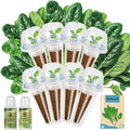 8-Pod Spinach Seed Pod Kit for Aerogarden, Includes Spinach Seeds - Universal Hydroponic Pods Indoor Gardening Supplies (8-Pod)
