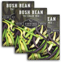 Survival Garden Seeds - Tri-Color Bean Seed for Planting - 3 Packs with Instructions to Plant and Grow Yellow, Purple, and Green Bush Beans in Your Home Vegetable Garden - Non-GMO Heirloom Variety
