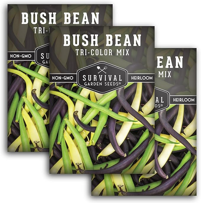 Survival Garden Seeds - Tri-Color Bean Seed for Planting - 3 Packs with Instructions to Plant and Grow Yellow, Purple, and Green Bush Beans in Your Home Vegetable Garden - Non-GMO Heirloom Variety