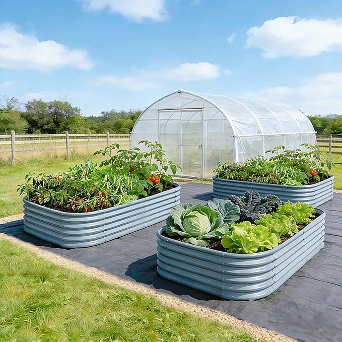4-Pack Galvanized Raised Garden Bed 6x4x1.5 ft, 17" Tall Planter Boxes Outdoor, Zn-Al-Mg Metal Raised Beds for Gardening Herb Fruit Vegetable, Modular Flower Bed for Outdoor Plants-Sand Beige