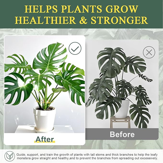 Plant Stem Support 2 Pack, Adjustable Metal Monstera Plant Support Small & Large, Unique Design Plant Supports for Indoor Plants Moss Pole Growth (Gold)
