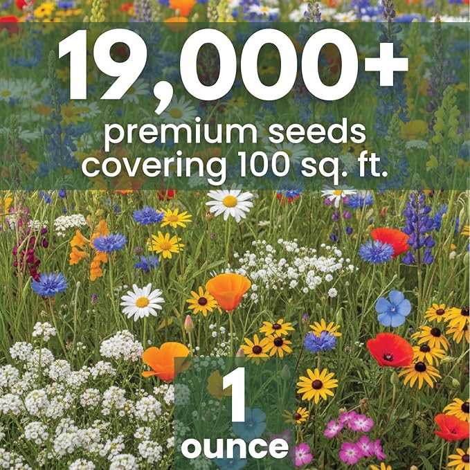 California Regional Mix – 19,000 Seeds for Planting – 2026 Season – 1 Ounce Pouch