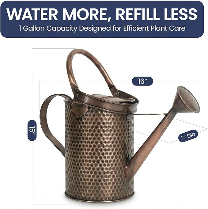 Gardenised 1 Gallon Galvanized Metal Watering Can with Removable Long Spout & Sprinkler Head for Indoor & Outdoor Use Ideal for Garden Flowers Potted Plants Houseplants Modern Home Accessories, Brown