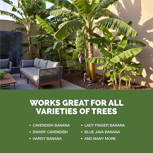 Banana Tree Fertilizer – Liquid Fertilizer for All Banana Tree Varieties, Supports Growth & Fruiting, 1 Gallon