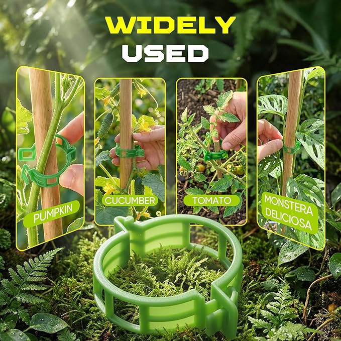 100pcs Tomato Clips for Climbing plants, Plastic Trellis Plant Support Clips for Garden, Reusable Clips for Supporting Grape Tomato Vine and Vegetables Plants to Grow Upright Makes Plants Healthier