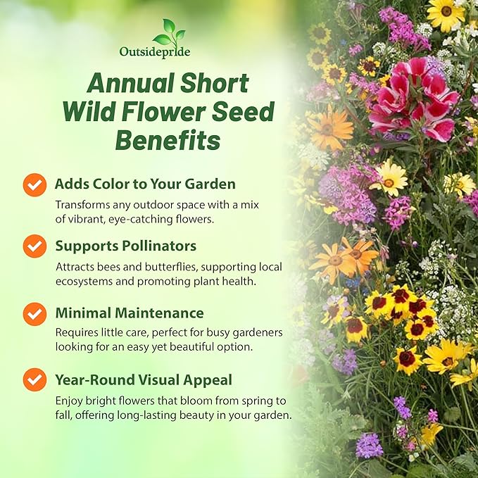 Outsidepride Sunburst Short Seed Mix - 1 lb. Annual, Easy to Grow & Pollinator Friendly, Wildflower Seeds for Planting w/Vibrant Low-Growing Flowers, Ideal for Ground Cover & Erosion Control