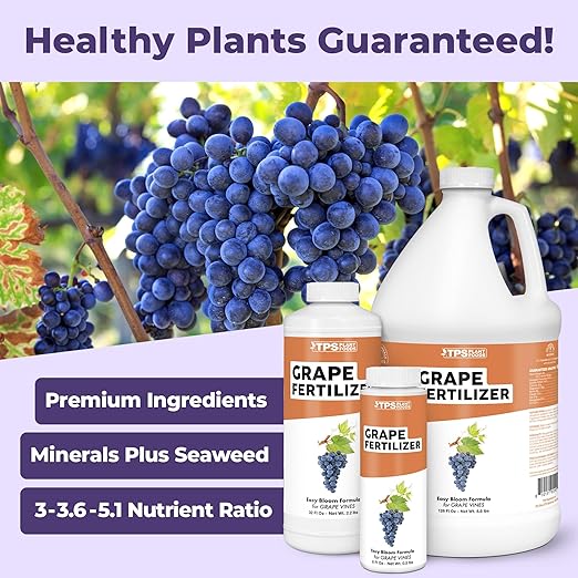 Grape Fertilizer – Liquid Plant Food for Bigger Harvests, Stronger Vines & Better Fruit Development, 1 Gallon