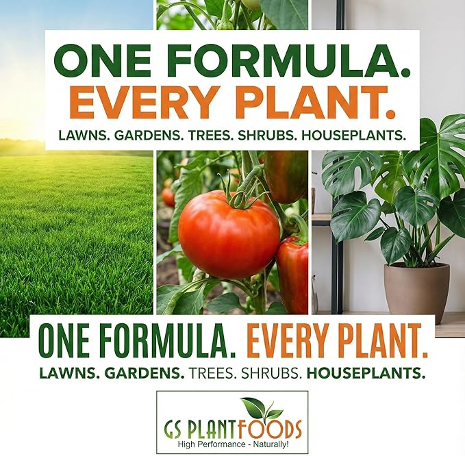 GS Plant Foods Liquid Kelp Fertilizer – Suitable for Organic Growing, OMRI Listed Seaweed Concentrate for Lawns, Gardens & Soil - 55 Gallons
