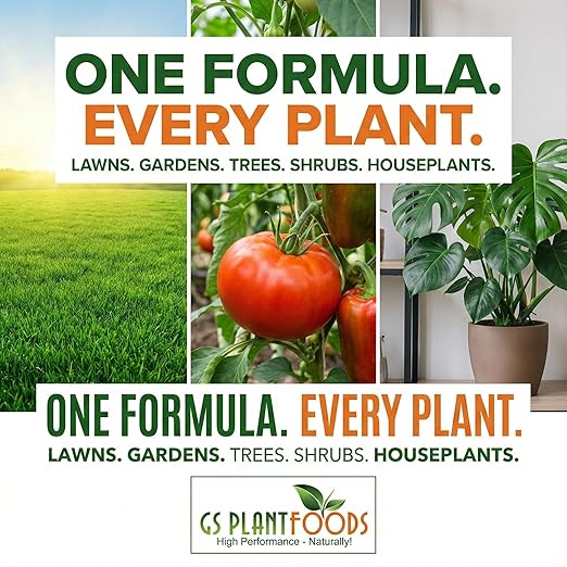 Organic Kelp Fertilizer by GS Plant Foods - Omri Certified (1 Quart) - Kelp Fertilizer for Gardens, Lawns & Soil