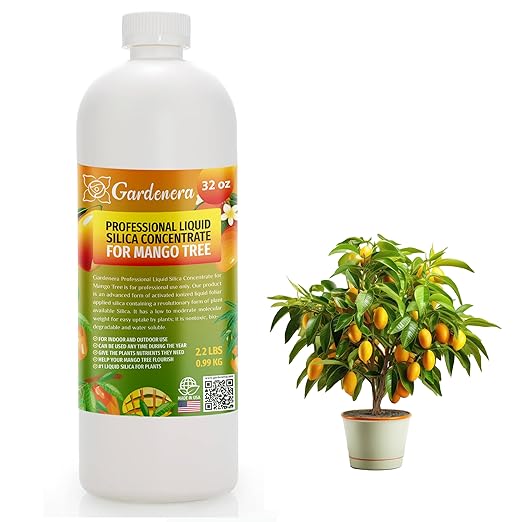 𝐏𝐑𝐎𝐅𝐄𝐒𝐒𝐈𝐎𝐍𝐀𝐋 Liquid Silica Plant Supplement - 32oz - MANGO TREE Plants Liquid Silica Boost Fertilizer - Stronger Stems & Healthy Leaves for Indoor & Outdoor Mango Trees (Makes 180 Gallons)