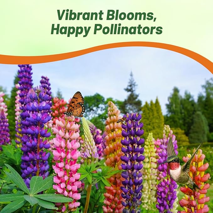 Outsidepride Mixed Russells Lupine Seeds - 5 Lbs. Perennial, Self-Sowing, Cold Hardy & Frost Tolerant Wildflower Seeds for Fall Planting, Ideal for Attracting Pollinators & Hummingbirds