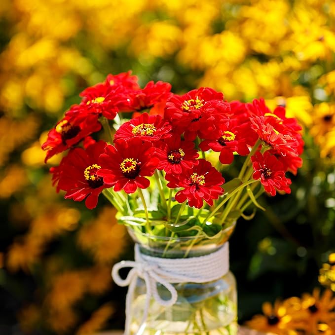 Eden Brothers Zinnia Seeds - Scarlet Flame, Non-GMO Seeds for Planting, 1/4 lb | Low-Maintenance Flower Seeds, Plant During Spring, Zones 3, 4, 5, 6, 7, 8, 9, 10