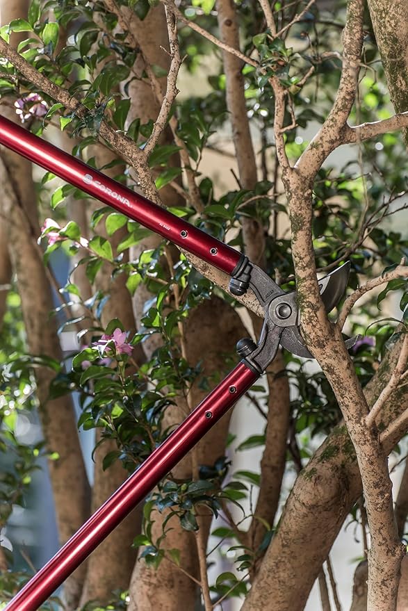 Corona Tools | 32-inch Branch Cutter MAXFORGED Orchard Loppers | Tree Trimmer Cuts Branches up to 2 ¼-inches in Diameter | AL 8462, Red