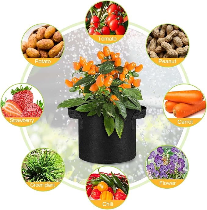 Nuanchu 100 Packs Grow Bags Bulk Aeration Fabric Pot with Handles Thickened Nonwoven Garden Bags to Healthy Root Growth Vegetables Heavy Duty Grow Pots Planting Planter for Flower Fruits (2 Gallon)