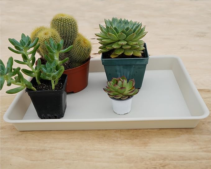VUWEZ Rectangle Plant Tray, Plant Drip Tray, Plant Pot Saucers, Plant Germination Trays, Plant Saucers, 11'' x 9'' x 1.2'' (2 pack), Beige